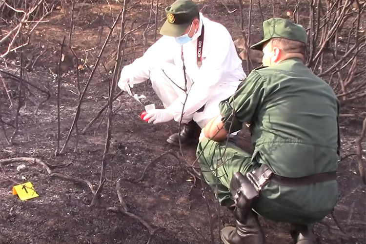 Algeria’s Wildfires: Investigating the Causes, Identifying the Victims