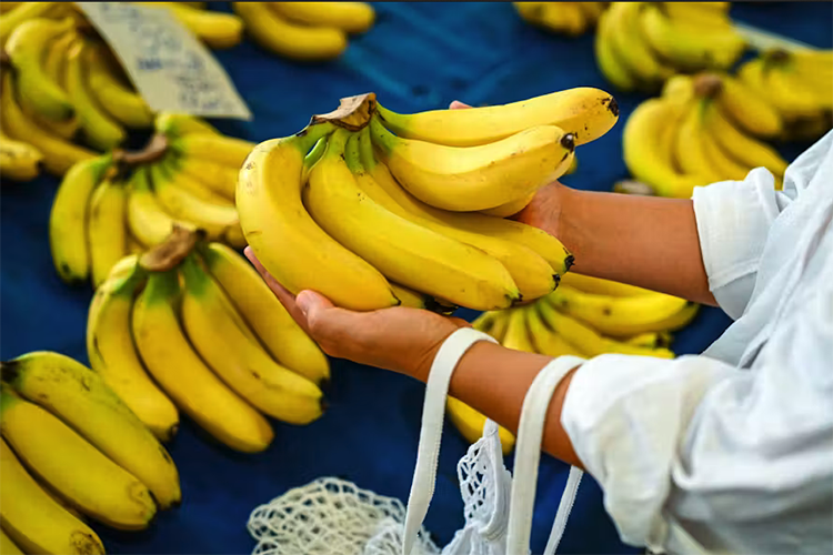Banana Prices Capped at DZD 420 as 400 Tonnes Enter the Market