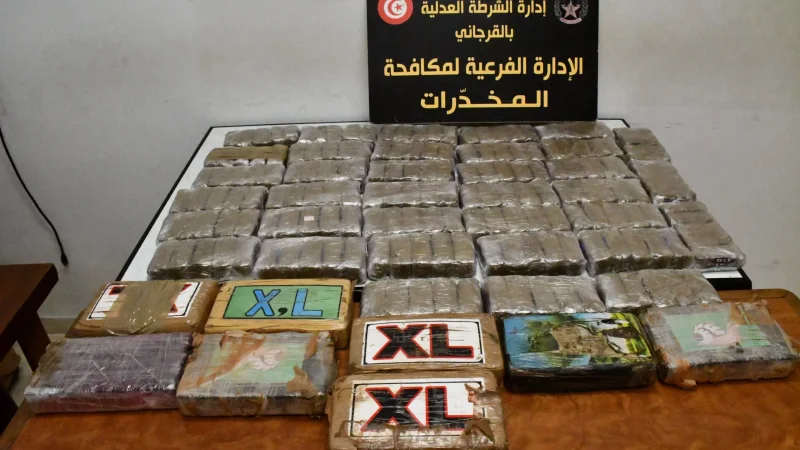 الإطاحة بشبكة دولية لترويج المخدرات وحجز كميات من الزطلة والكوكايين