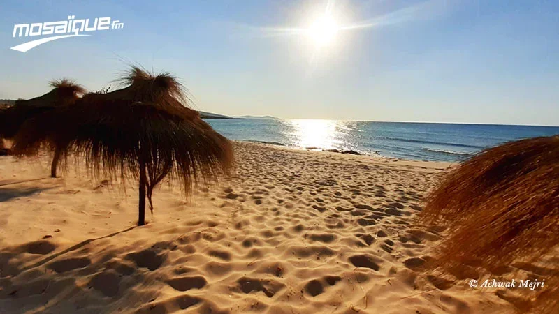 درجات الحرارة تصل إلى 43 درجة مع ظهور الشهيلي