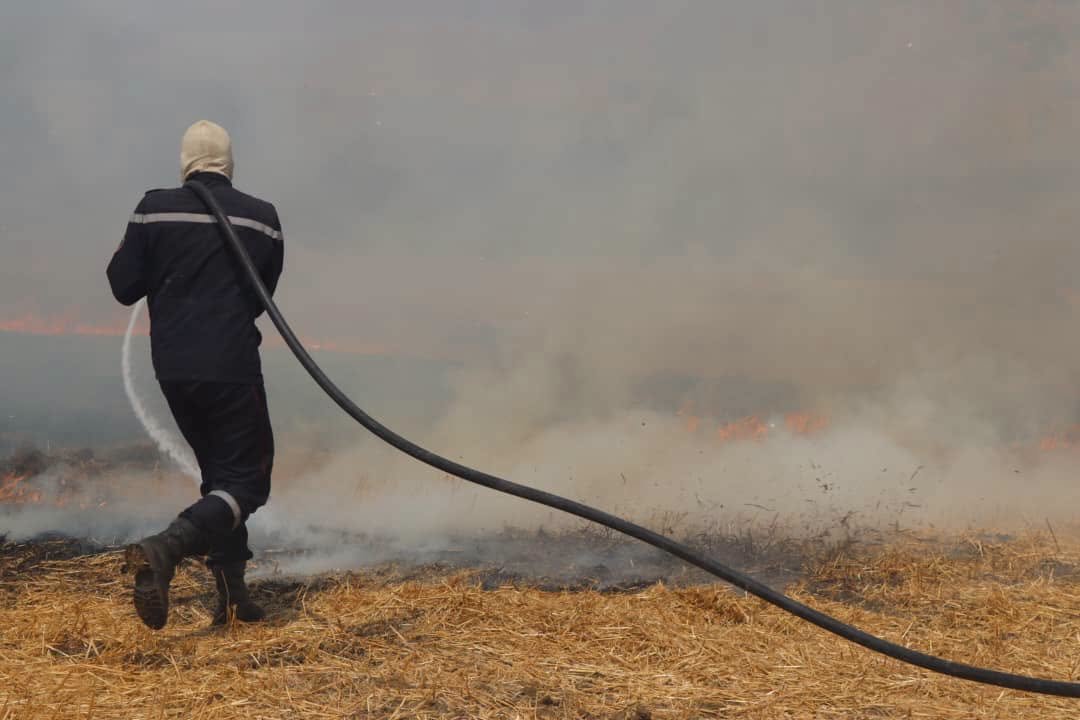 السفارة الأمريكية تعزّي الجزائر في ضحايا الحرائق