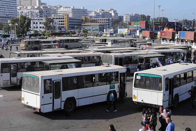 تجنيد كل البنوك العمومية وسباق مصرفي لتجديد حافلات الجزائر!