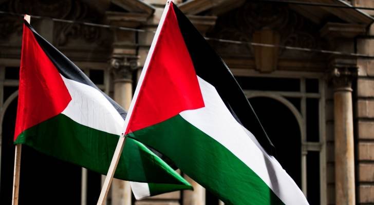 لمواجهة الظلم.. مرشح لمنصب عمدة أوتاوا الكندية يعلن نيته رفع علم فلسطين فوق مبنى البلدية