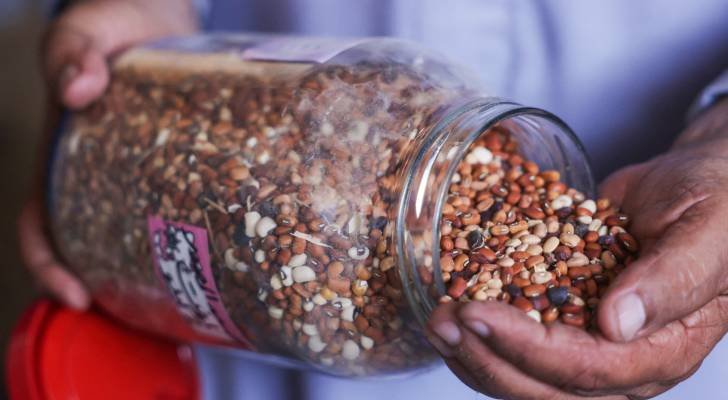 بنك بذور القرارة في دير البلح يحفظ التراث الزراعي لقطاع غزة وسط الحرب