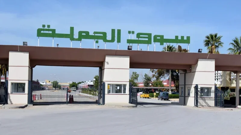 حصريا لعمليات البيع.. شركة أسواق الجملة تفتح أبوابها استثنائيا الاثنين