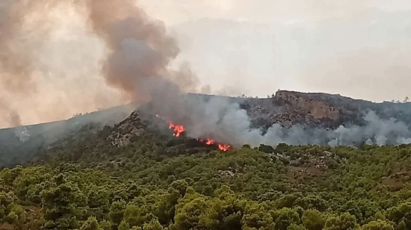 برقو: المجهودات متواصلة للسيطرة على حريق جبل مزاتة