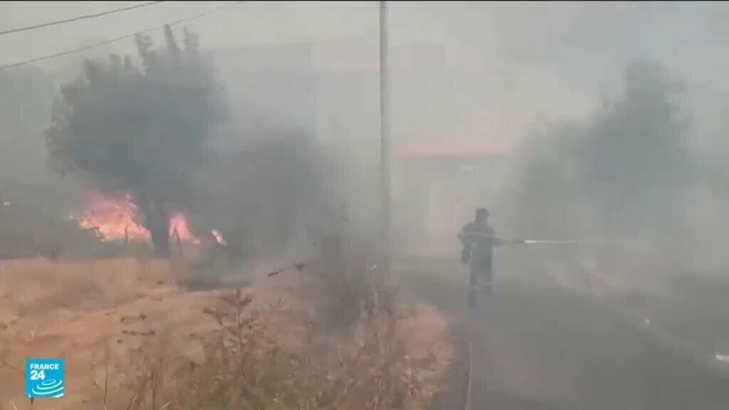 الجزائر: حرائق غابات واسعة في عدة ولايات تخلف 12 قتيلا وعشرات المصابين
