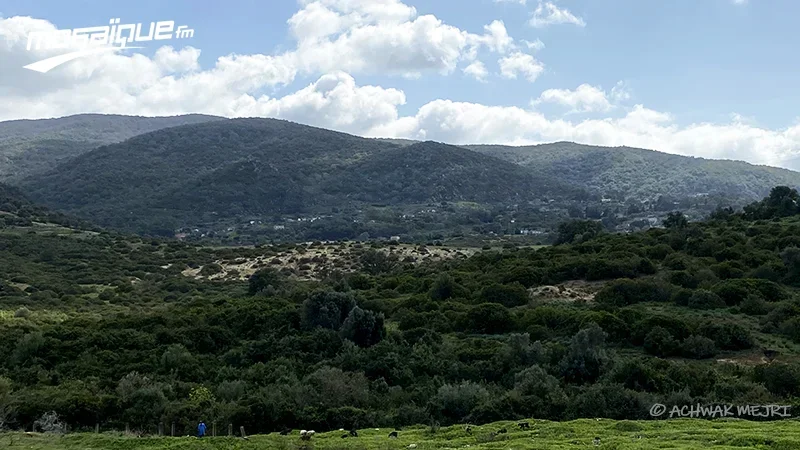 طقس مُغيّم مع نزول أمطار بالمناطق الغربية