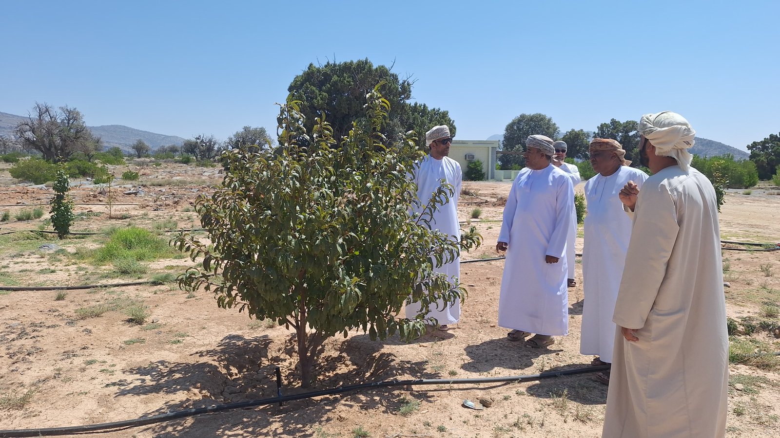 زيارات ميدانية للوقوف على سير العمل بالمشاريع الزراعية والحيوانية في جبل السراة