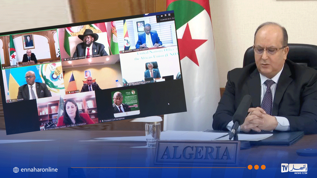 الجزائر تعرض دعمها اللوجستي والتقني لانتخابات جنوب السودان