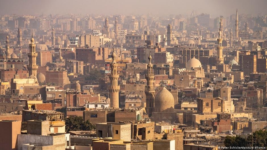 "حرب" مصر على أشجارها.. من يقف وراءها ومن يدفع الثمن؟