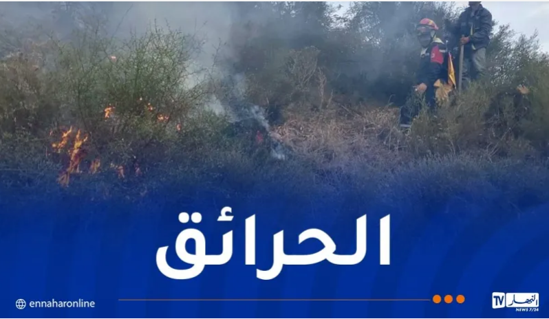 خلال 24 ساعة.. إخماد 25 حريقا عبر عدة ولايات