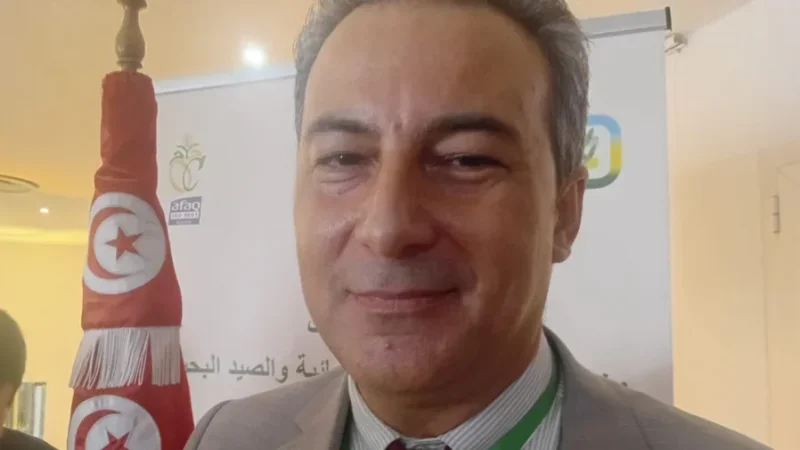 موسم الحبوب الجديد: 524 ألف قنطار من البذور الممتازة