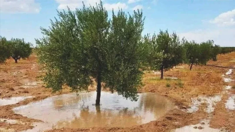 وزارة الفلاحة تدعو الفلاحين والبحارة إلى الحذر من التقلبات الجوية