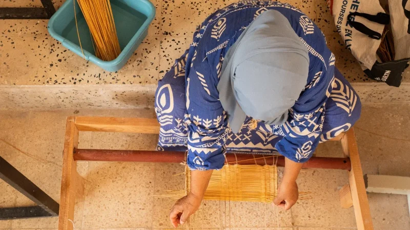'تانيت'.. من جربة إلى تطاوين لإعادة رسم خريطة السياحة البديلة