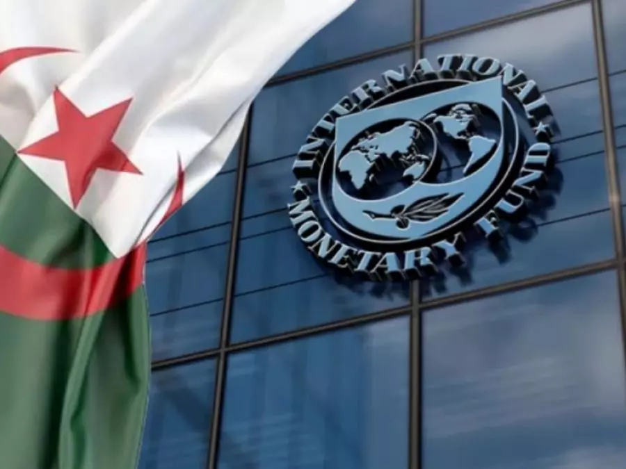 Le FMI salue la croissance de l’Algérie et ses efforts de diversification
