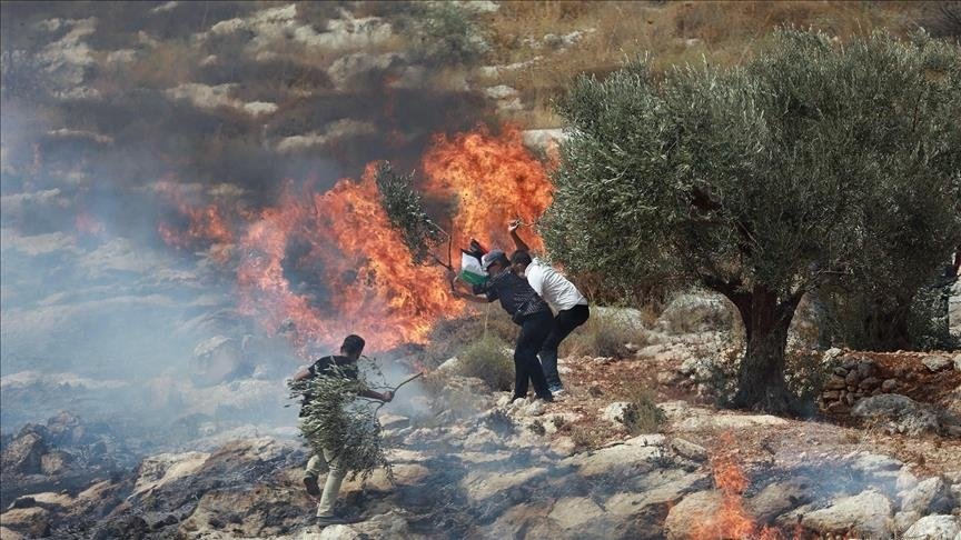 الضفة تحت التصعيد الاستيطاني.. اعتداءات متصاعدة على الفلسطينيين وأراضيهم