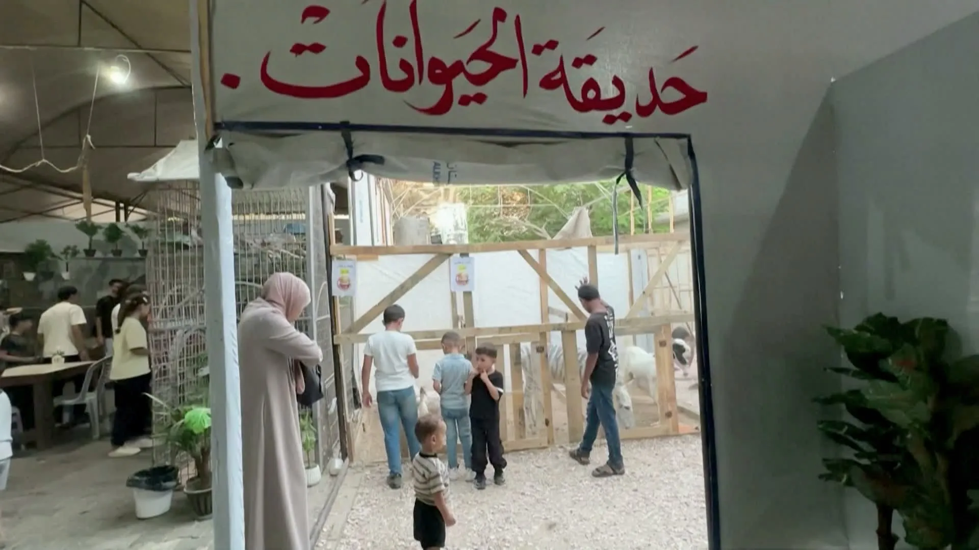 "حمار وحشي مزور" نجم حديقة حيوانات في غزة