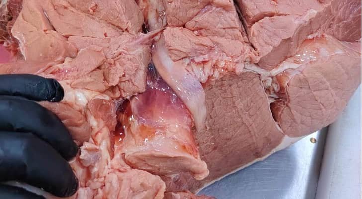 للمرة الثانية بنفس اليوم.. الغذاء والدواء تضبط كميات من لحون العجل منتهية الصلاحية في الكرك