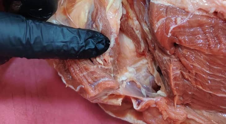المناصير لـرؤيا: بلدية الكرك ضبطت خلال جولتين 205 كيلوغرامات من لحوم العجل المستورد منتهية الصلاحية