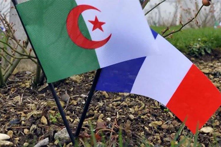 The French Are Looking For Scenarios To Deal With Algeria