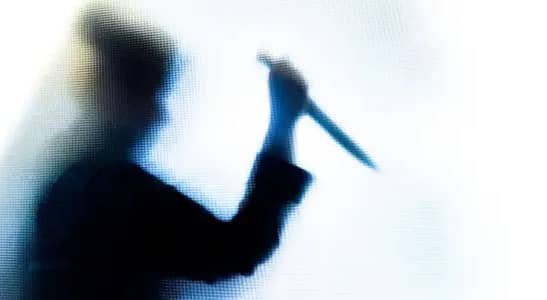 محكمة جنايات القاهرة تنظر استئناف سيدة وصديقها على حكم إعدامهما في جريمة بدر