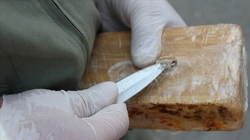 L’Espagne saisit plus de 1,2 tonne de cocaïne dissimulée dans une cargaison de noix de coco