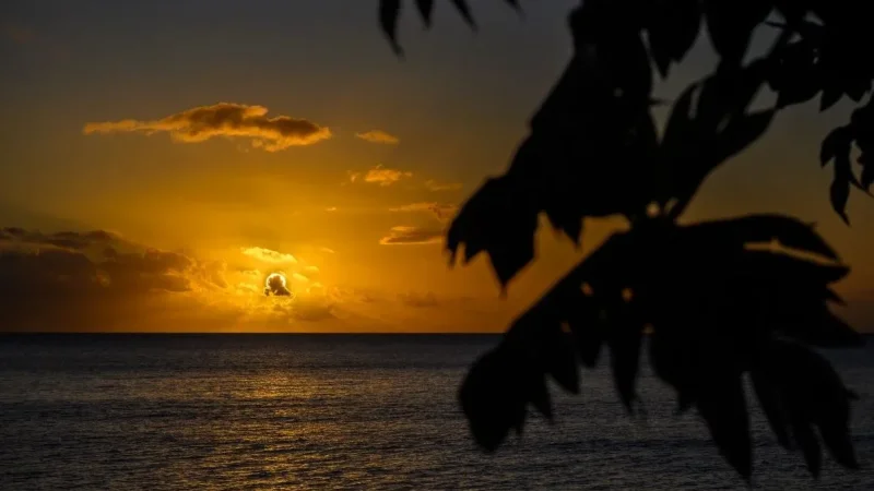 طقس عامة صاف إلى قليل السحب الليلة