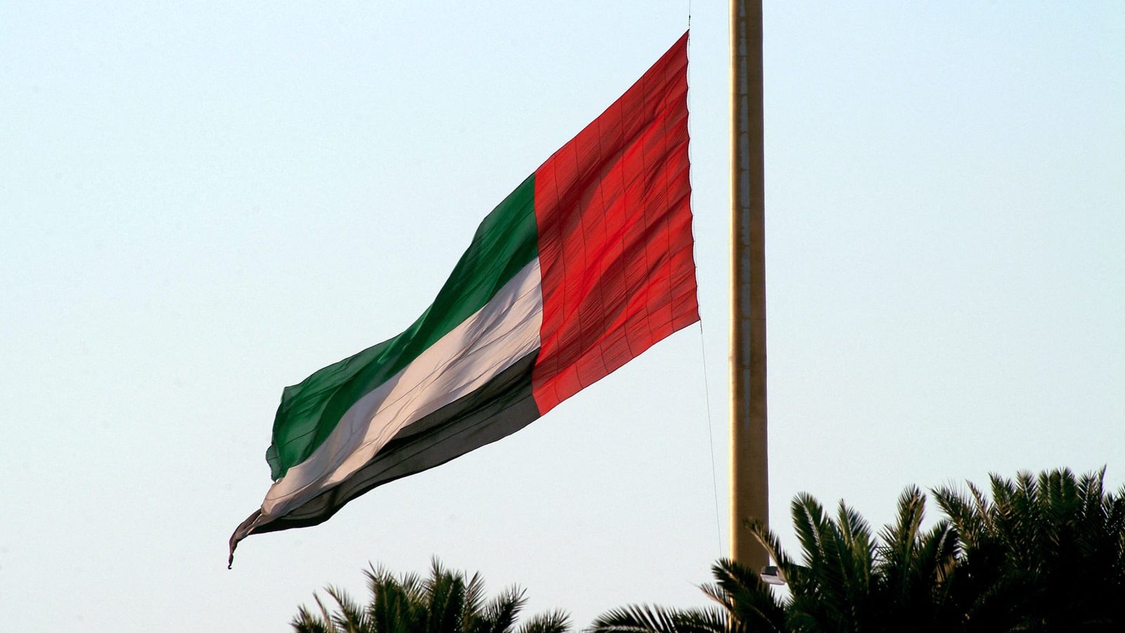 وزارة الدفاع الإماراتية تنعى رائدًا ومرشّحًا فارقا الحياة خلال مهمة تدريبية