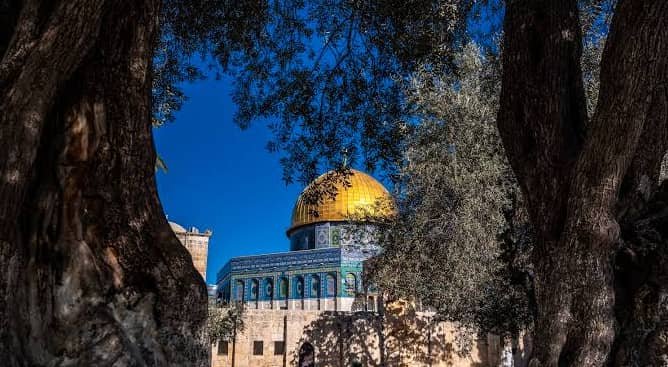 محافظة القدس: اقتحام 458 مستعمرا وسائحا للأقصى وتفتيش منازل ببلدة بدو