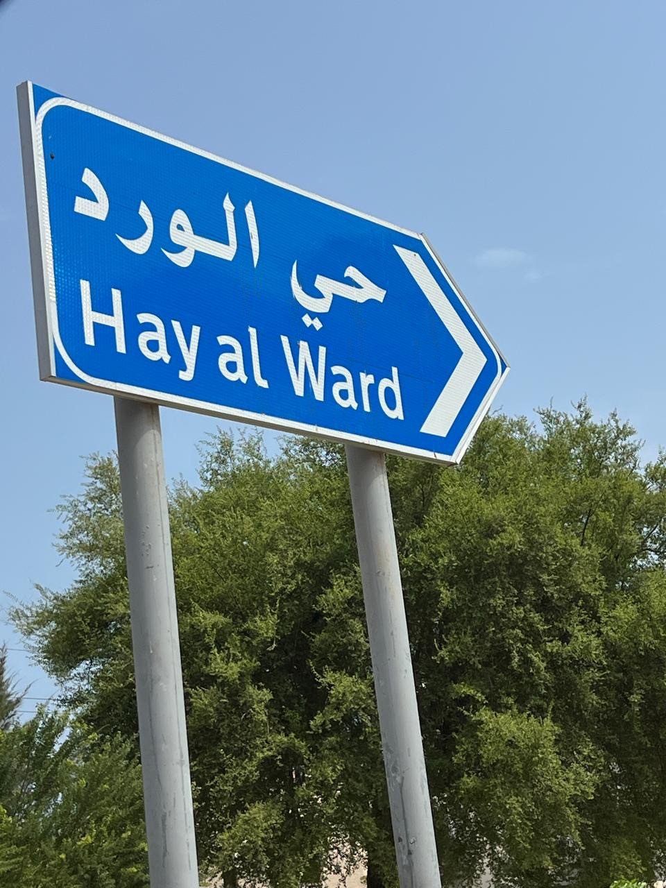 بدء التنفيذ الميداني لمشروع "العنونة الوطني" في مسقط