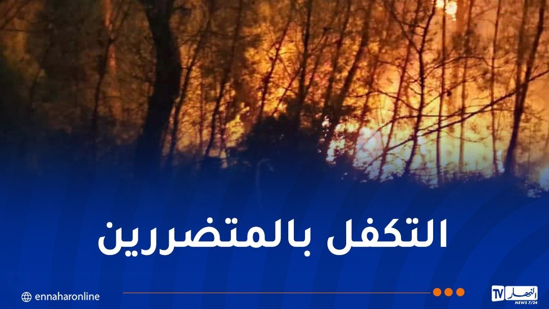 إحصاء أضرار الحرائق وتسريع صرف التعويضات