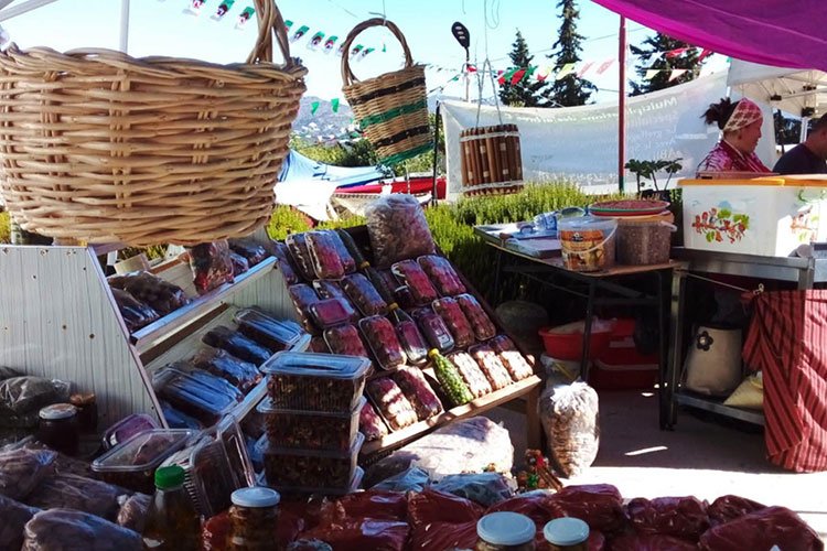 انطلاق فعاليات الطبعة الـ20 لمعرض التين
