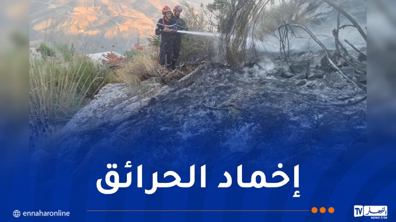 إخماد 8 حرائق للغطاء النباتي خلال 24 ساعة