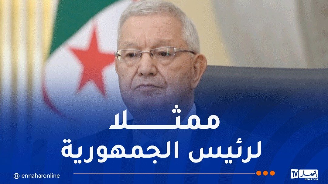 ناصري يشارك في قمة الدول المؤسسة للنيباد بمصر