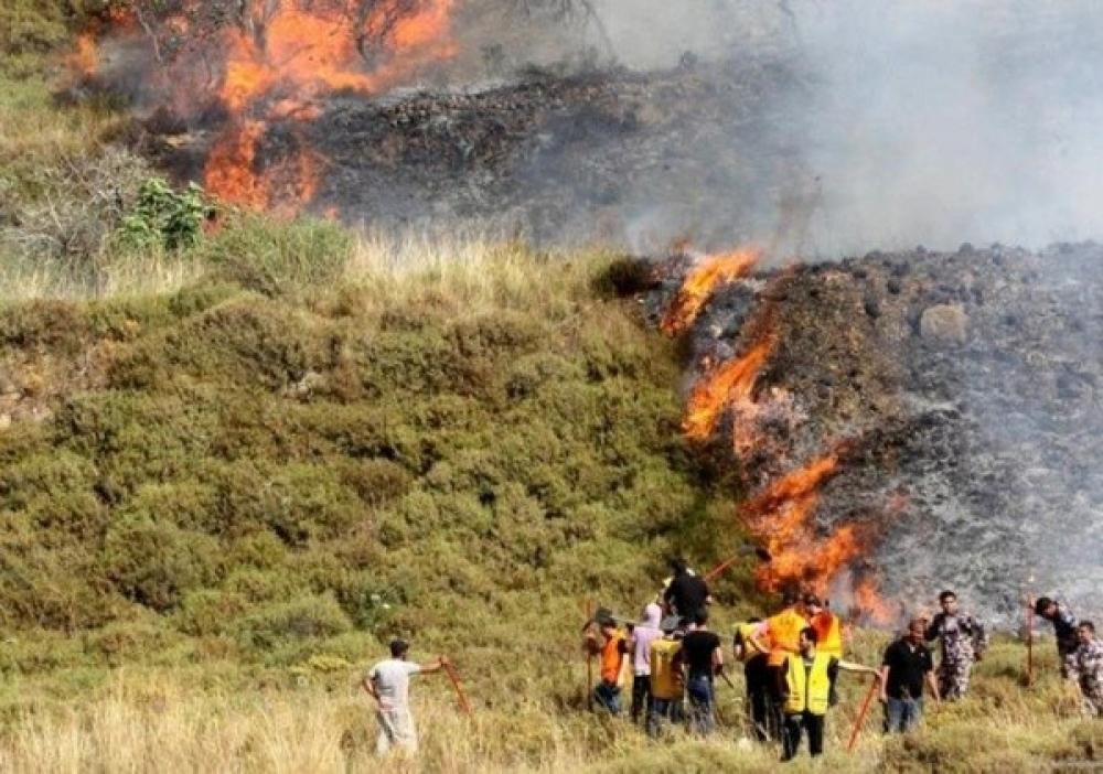 مستوطنون يحرقون مركبة ويهاجمون قاطفي الزيتون في عدة قرى وبلدات بنابلس