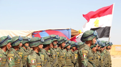 وزير الخارجية المصري: قدمنا دعما عسكريا لدول خليجية لصد "اعتداءات إيران"