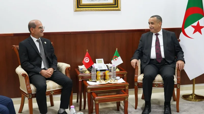 تونس والجزائر تبحثان إنجاز محطّة كهرباء بـ1400 ميغاواط