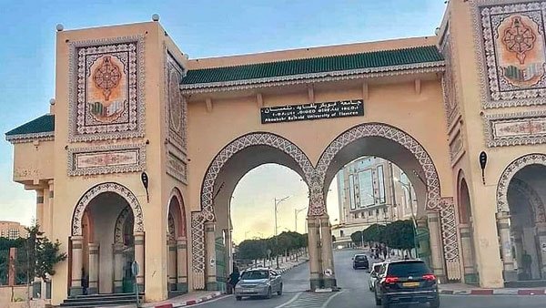 الدبلوماسية الجامعية…كيف تستثمر الجزائر في النخب الأفريقية ؟