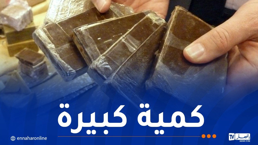 الحبس لشبكة إجرامية بعدما ضبط بحوزتها على 19 كلغ من القنب الهندي موجهة للترويج بالعاصمة