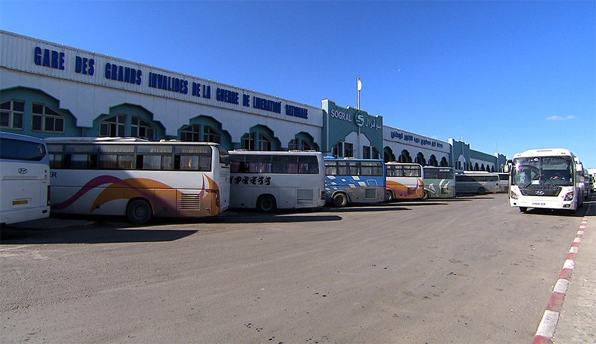 النقل لضمان “النقلة”