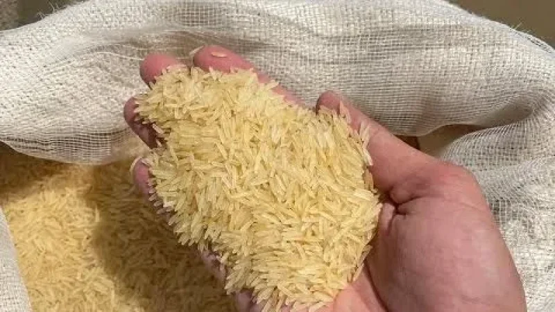 وزارة التجارة تُحدد أسعار بيع الأرز المورّد للعموم