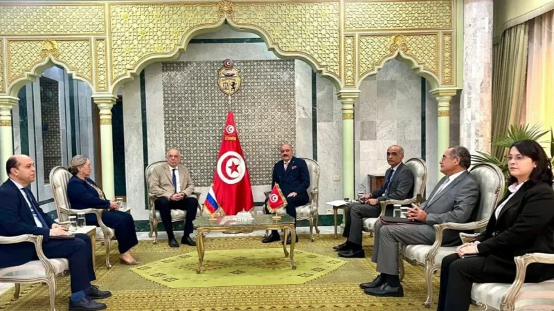 وزير الخارجية يناقش نتائج القمة الروسية الأفريقية مع السفير الروسي