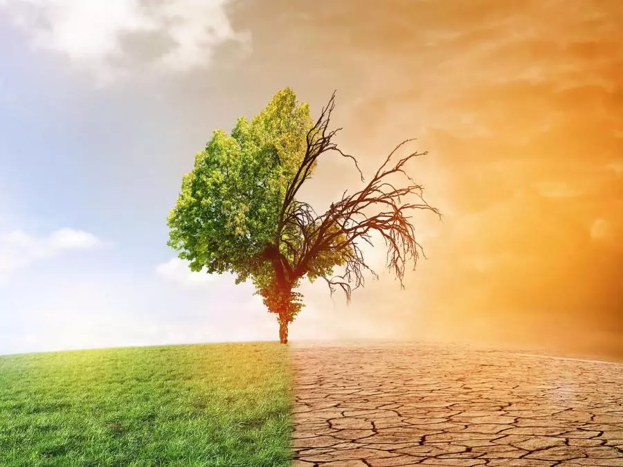 L’ONU salue la mise en œuvre par l’Algérie de ses engagements internationaux en matière de climat