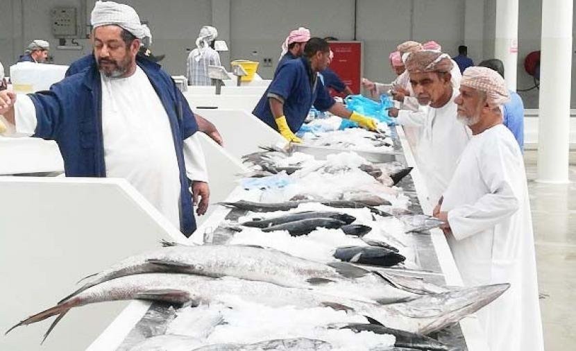 وفرة في كميات الأسماك مع انخفاض الأسعار في الأسواق