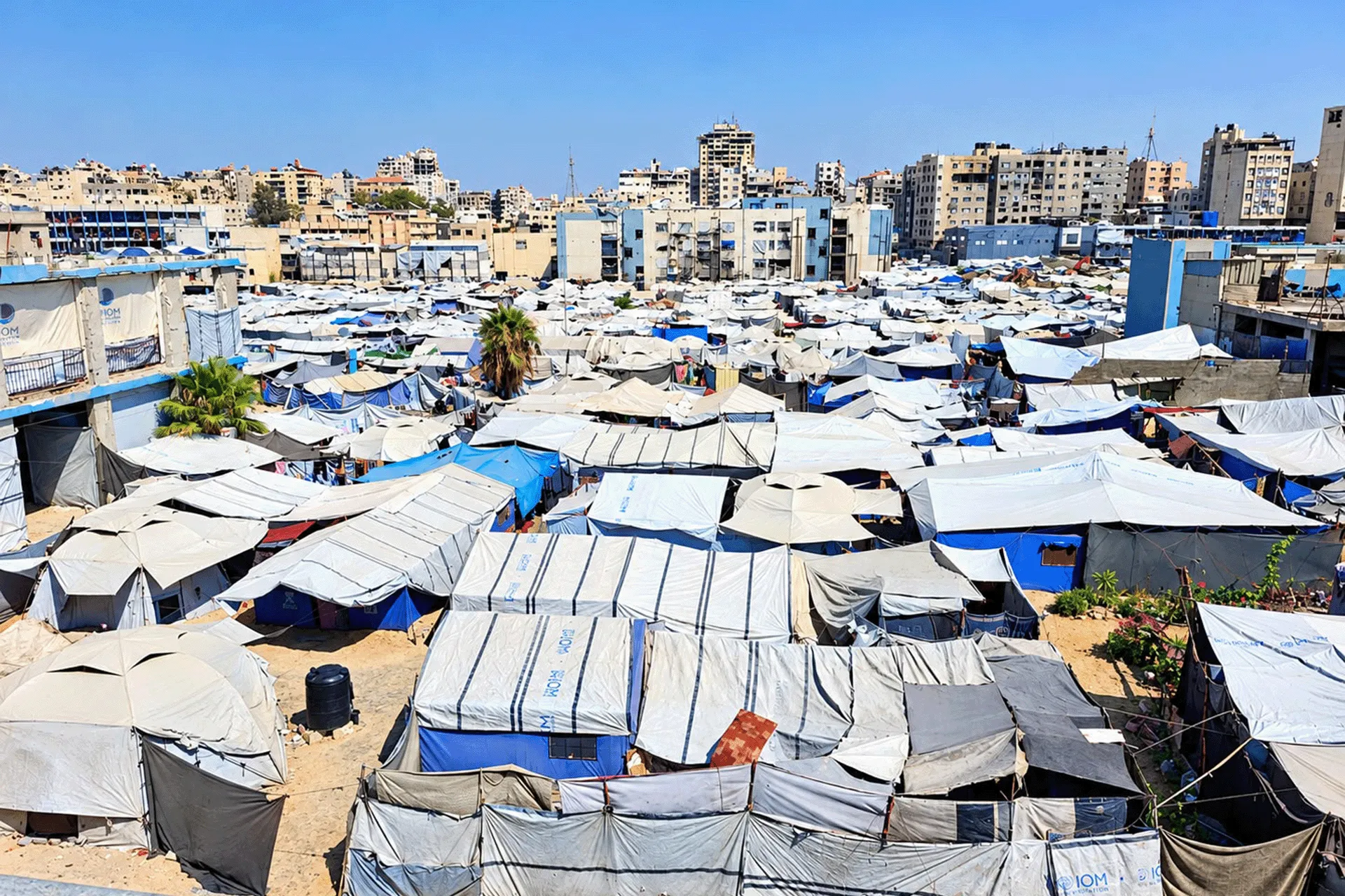 كم مرة نزحت؟ وماذا فقدت؟ غزيون يجيبون