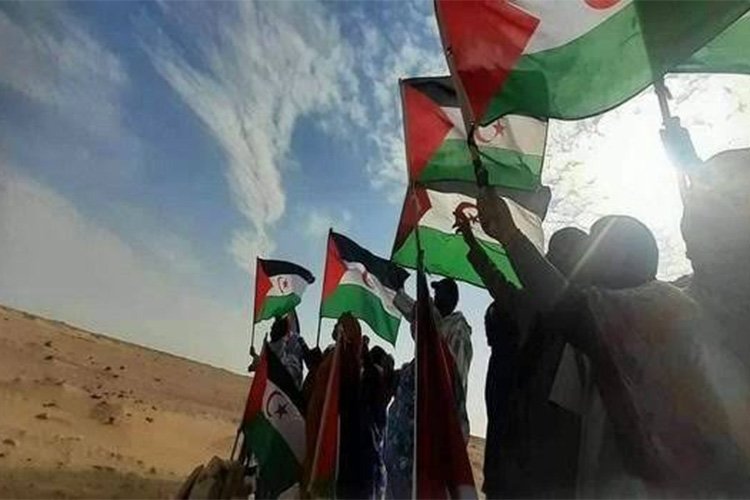 نصف قرن من الالتفاف على تقرير المصير لن يُسقط حق الشعب الصحراوي
