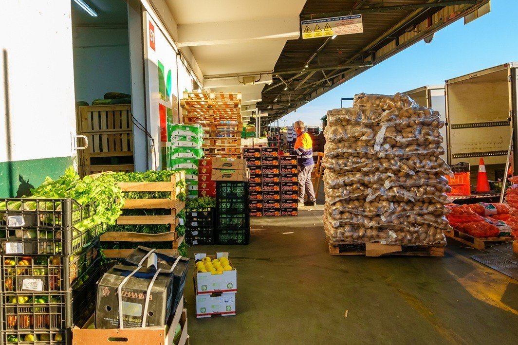 توطين 12 مشروعا وطرح 13 فرصة استثمارية في قطاع الأمن الغذائي بـ220.2 مليون ريال