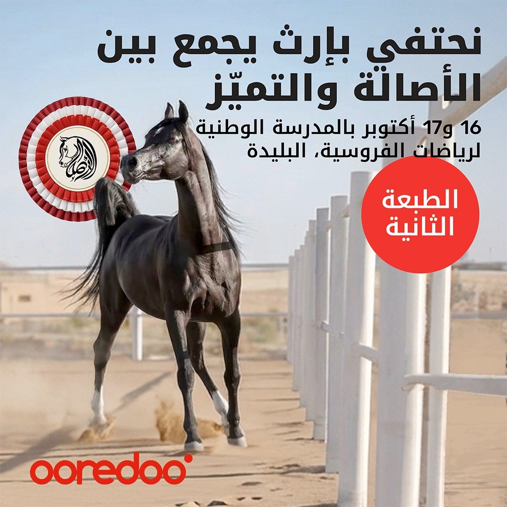 أريدُ الجزائر ترافق الطبعة الثانية من البطولة الوطنية للخيل العربي 