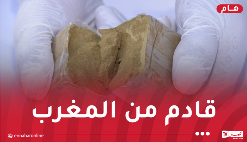 تفكيك 6 شبكات إجرامية منظمة وضبط أزيد من قنطار كيف مصدره المغرب